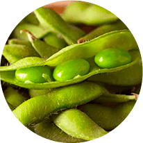 Synaptigen Ingredients