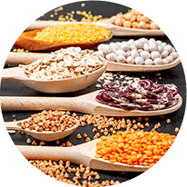 Synaptigen Ingredients