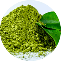 Renew Salt Water Trick Ingredients